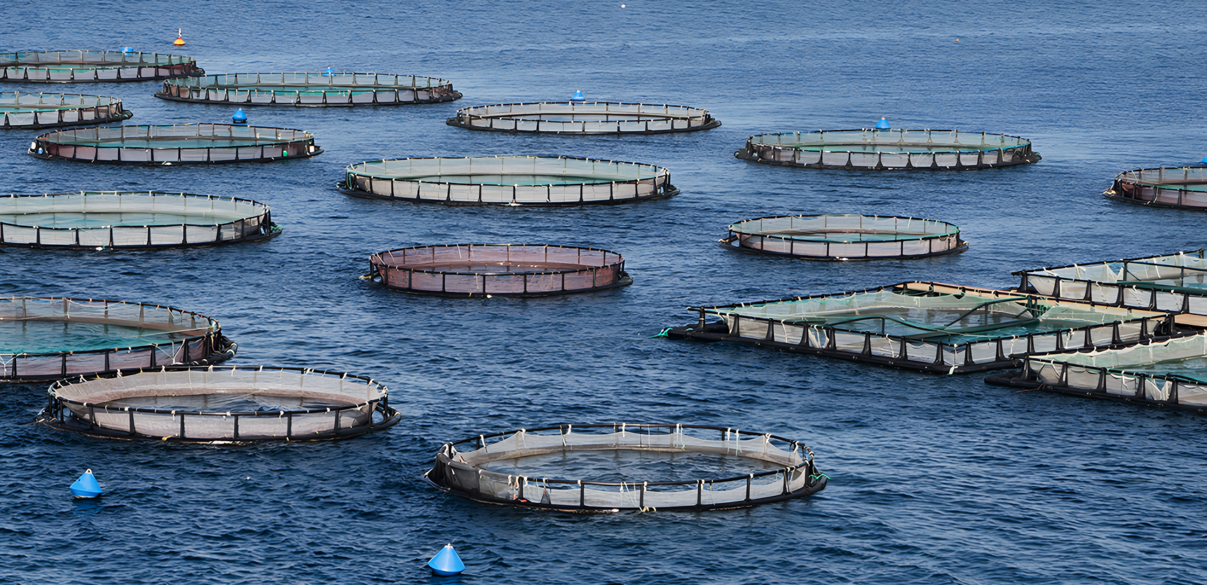 Offshore aquaculture infrastructure on the sea